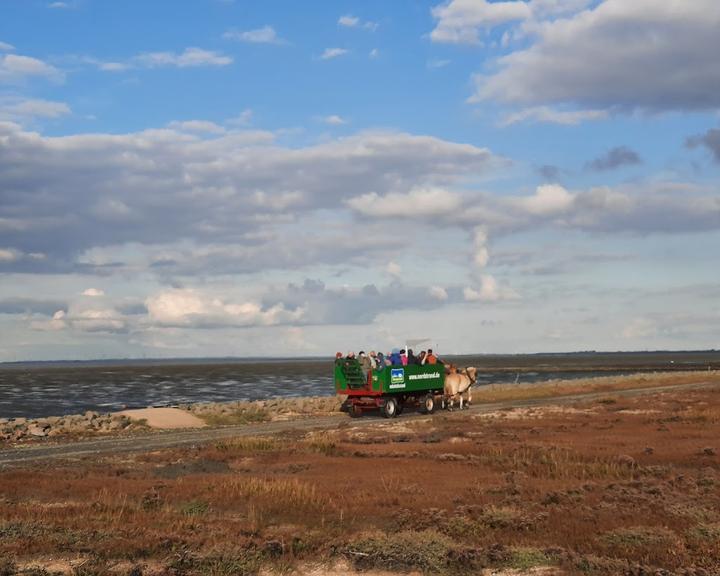 Hallig Südfall